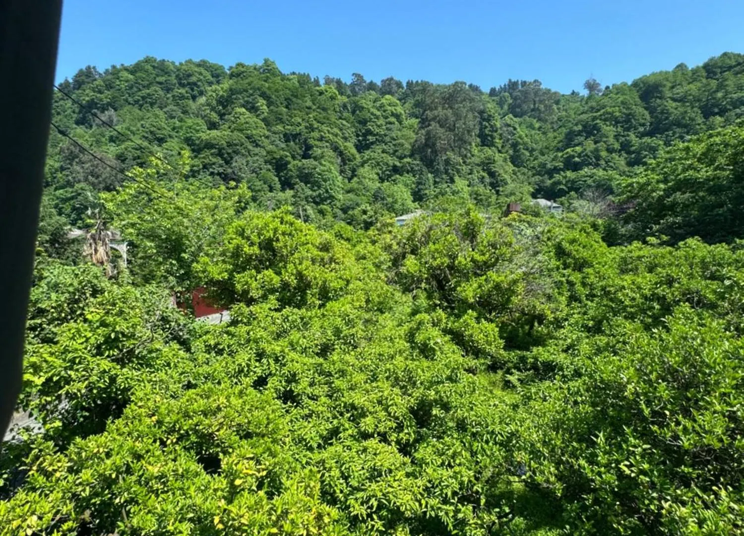 Villa Edelweiss Batumi
